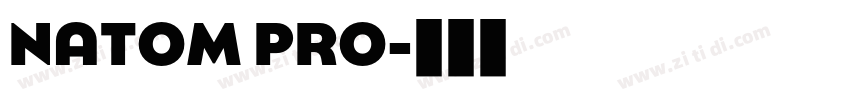 NATOM PRO字体转换 NATOM PRO字体转换